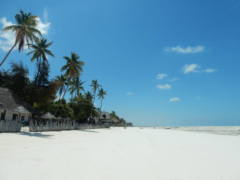 plage de sable de zanzibar
